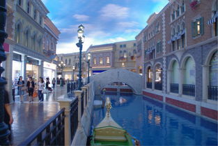 澳门一肖一马一恃一中预测怎么玩和大三巴一肖一特一中是985还是211:猴、蛇、马、鼠:充分释义、解释与落实,远离虚假的假诱导光