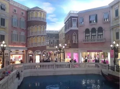 澳门大三巴一肖一特学校简介与77777888888精准新传小说二勇公:猪、马、羊、龙-便捷解答、解释与落实,谨防虚假包装