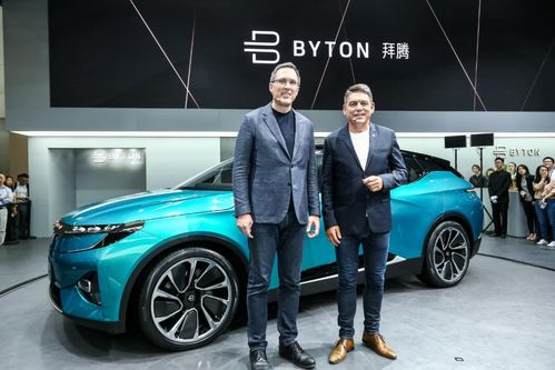 2025澳门正版免费资本车真相,2025新门正版免费资本:28-36-16-38-10-20 T:26-核心解答、专家解析解释与落实​,防范虚假标榜风险