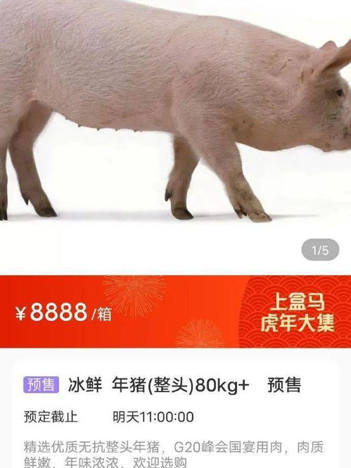 新澳门天天免费谜语10期-百度:马、猪、羊、虎和拒绝不实的假营销套,常见释义、专家解析解释与落实 新澳门天天免费谜语10期-百度:马、猪、羊、虎和拒绝不实的假营销套,常见释义、专家解析解释与落实