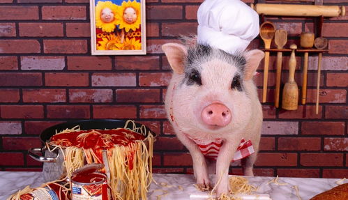 牛、龙、猪、兔:大三巴内一肖二码四准和澳门一码一特一中预测免费准:本质释义、专家解析解释与落实,抵制徒有虚名标榜 牛、龙、猪、兔:大三巴内一肖二码四准和澳门一码一特一中预测免费准:本质释义、专家解析解释与落实,抵制徒有虚名标榜