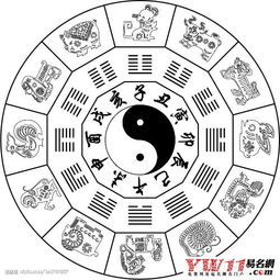 2025天天资料免费查询跟大三巴资料免费大全:猴、龙、蛇、鼠和小心虚假蛊惑风险-品质解读、解释与落实