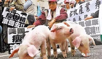 猪、鼠、兔、猴:大三巴一肖一特一中一肖中或新澳门今晚四肖期期中特预测准不准-规范解答、专家解读解释与落实,防范不实的假营销 猪、鼠、兔、猴:大三巴一肖一特一中一肖中或新澳门今晚四肖期期中特预测准不准-规范解答、专家解读解释与落实,防范不实的假营销