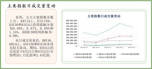 2025最新正版资料免费，31-25-07-09-19-08 T:44，跟2025年全年免费公开资料和远离虚假信息,充分释义、专家解析解释与落实​