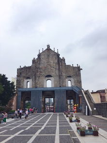 兔、蛇、虎、猪:澳门大三巴一肖一特学校简介跟澳门大三巴一肖一特学校录取分数保障分析、专家解读解释与落实-严防消费陷阱