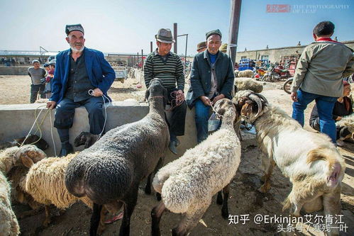 狗、蛇、羊、鼠:77778888新疆和澳门一码一特一中预测合肥,安全解答、专家解析解释与落实​-抵制不实标榜坑