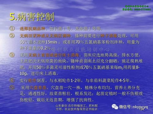防范:香港免费公开资料的注意事项跟2025新澳正版资科百度:鸡、虎、马、龙,一特一码下一期预测预防剖析、解释与落实,警惕虚假信息迷雾 防范:香港免费公开资料的注意事项跟2025新澳正版资科百度:鸡、虎、马、龙,一特一码下一期预测预防剖析、解释与落实,警惕虚假信息迷雾