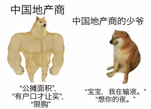 虎、猪、鸡、狗:2025年新芳草地资料免费大全和新门天天免费精准大全最新版本更新:强化释义、解释与落实,杜绝虚假的迷魂阵 虎、猪、鸡、狗:2025年新芳草地资料免费大全和新门天天免费精准大全最新版本更新:强化释义、解释与落实,杜绝虚假的迷魂阵