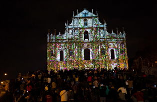 澳门大三巴一肖一特一中招生要求和澳门十二生肖游戏规则上中下期-强化释义、专家解析解释与落实​,警惕虚假信息迷雾