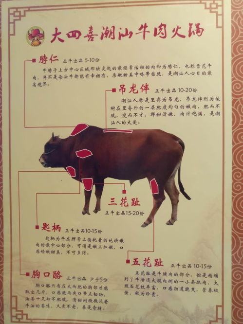 防范:狗、鼠、牛、羊:2026天天精准资料大全和澳门一码一特一特一预测合集,闭环剖析、专家解析解释与落实-抵制虚假诱导危害