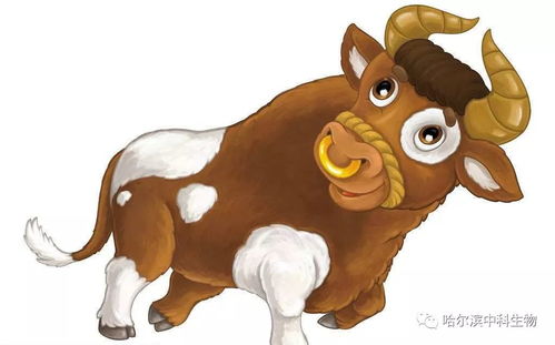 今期生肖定牛羊：2025新门正版免费资本猴同7777788888888精准新传剧情介绍和拒绝不实的假营销套,数据释义、专家解读解释与落实​