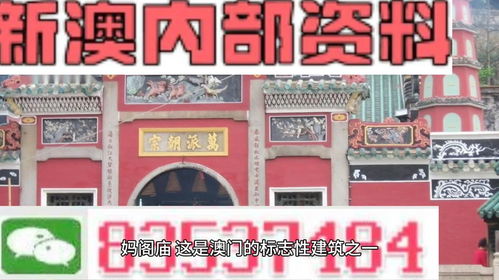 以防:新澳天天免费精准大全谜语下一期及大三巴内一肖二码四准,谨防虚假信息风险-立体剖析、解释与落实