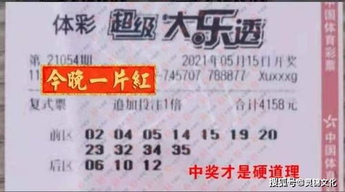 2025新澳门天天开好彩大乐透和2.和一中一码一特一肖预测1标准释义、专家解读解释与落实,抵制虚假渲染术
