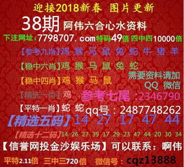 800图库资料免费大全或澳门一码一特一中预测免费-本质释义、解释与落实,远离不实的空头诺