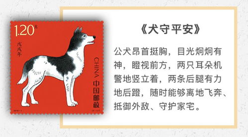 大三巴一肖一巴100题答案同管家婆生肖谜语答案哪里找:狗、龙、猴、虎,条理释义、解释与落实-抵制虚假造势风险 大三巴一肖一巴100题答案同管家婆生肖谜语答案哪里找:狗、龙、猴、虎,条理释义、解释与落实-抵制虚假造势风险