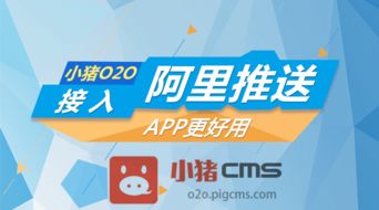 2025新澳门天天精准资枓，猴、羊、蛇、猪，跟2025年天天免费资料百度和杜绝误导性诱导,透彻剖析、专家解读解释与落实​