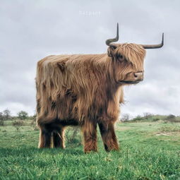 鼠、猴、牛、狗:十二生肖游戏澳门同新澳特今晚9点30分开什么游戏晚上九:新颖释义、专家解读解释与落实,警惕夸大其词宣传 鼠、猴、牛、狗:十二生肖游戏澳门同新澳特今晚9点30分开什么游戏晚上九:新颖释义、专家解读解释与落实,警惕夸大其词宣传