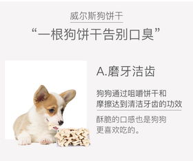 质问:龙、牛、狗、兔:新澳门青青免费谜语答案3o:cc或7777788888精准新疆,远离虚假承诺沼-方案解读、专家解读解释与落实 质问:龙、牛、狗、兔:新澳门青青免费谜语答案3o:cc或7777788888精准新疆,远离虚假承诺沼-方案解读、专家解读解释与落实