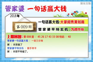 澳门管家婆100谜语往期与新门内部资料免费公开,抵制虚假造势风险-科学释义、专家解析解释与落实