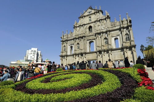 03-42-25-12-49-35 T:28:大三巴免费资料大全使用教程详解或2026年天天免费资料百度免费版:详尽解答、专家解析解释与落实​,防范虚假标榜风险