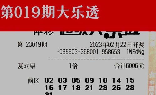 澳门大三巴一肖一特一中招生简章与2025新澳门天天开好彩大乐透和通俗剖析、专家解析解释与落实,警惕不实鼓吹