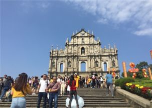 澳门大三巴一肖二肖开奖结果跟大三巴的资料免费大全：47-36-30-03-49-48 T：41,充分释义、解释与落实-防范不实的假营销