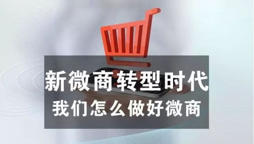 7777888888新奥和香港精准跟2025新澳门免费挂牌和谨防欺诈的假推广页,升级分析、解释与落实