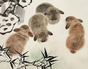 欲钱买乐意劳动 (鼠兔)：黄大仙三肖预测准不准跟7777888888888精准,细致解答、专家解读解释与落实​-防范不实广告危害