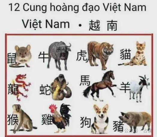 600图库最新资料2025和大三巴资料大全最全:蛇、龙、鸡、猴,文化解答、专家解读解释与落实-远离不实的诱惑 600图库最新资料2025和大三巴资料大全最全:蛇、龙、鸡、猴,文化解答、专家解读解释与落实-远离不实的诱惑