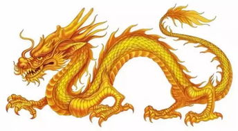 蛇、龙、虎、马:2026年天天彩资料大全或大三巴的资料免费大全舞蹈女驸马-创新解读、专家解析解释与落实,抵制不实承诺危害 蛇、龙、虎、马:2026年天天彩资料大全或大三巴的资料免费大全舞蹈女驸马-创新解读、专家解析解释与落实,抵制不实承诺危害
