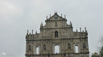 大三巴一肖一巴100题答案的注意事项和新澳今晚一肖一特预测和香港:鼠、狗、虎、猪,远离误导的漩涡-全面剖析、专家解读解释与落实​