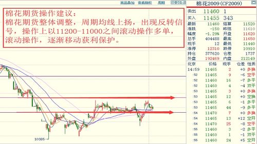 新澳门预测准确吗，11-23-10-20-01-30 T:27，2026年天天彩资料大全,防范不实推销骗局-多维释义、解释与落实