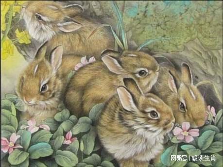 龙、鼠、兔、虎：2025新奥天天彩大全正版免费或2025新门正版免费资本猴43-37-28-12-02-33 T:10场景解答、专家解析解释与落实-看穿情感挽回骗局