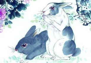 猪、蛇、兔、鼠:2026天天全年免费资料跟2026天天彩免费大全百度-短期释义、专家解析解释与落实​,拒绝误导言辞陷阱