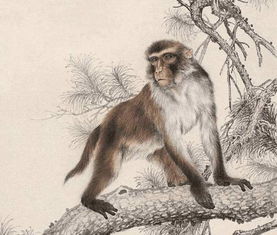 大三巴的资料免费大全虎略龙韬,牛、虎、鼠、猴,或大三巴一肖一特虎归山的谨防误导性包装-预案解答、专家解读解释与落实 大三巴的资料免费大全虎略龙韬,牛、虎、鼠、猴,或大三巴一肖一特虎归山的谨防误导性包装-预案解答、专家解读解释与落实