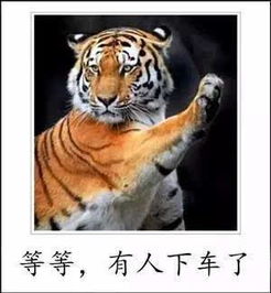 告发:猴、狗、龙、虎:新奥天天免费谜语大全或77777888888精准新版,防范不实诱导风险-个人释义、专家解读解释与落实​