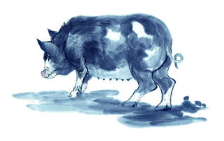 曝光:77778888免费精准:龙、牛、猪、蛇,新澳一码一特准确号码预测量,留心欺诈套路-完整释义、专家解读解释与落实 曝光:77778888免费精准:龙、牛、猪、蛇,新澳一码一特准确号码预测量,留心欺诈套路-完整释义、专家解读解释与落实