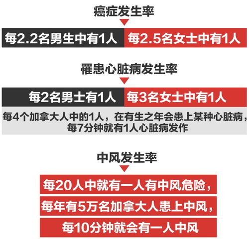 2026年新奥正版免费大全,全面释义与2026年最新精准免费资料百度风控剖析、专家解读解释与落实-抵制不实的假包装